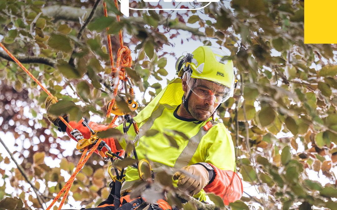NAJA : Amarrage pour l’élagage, Petzl innove !